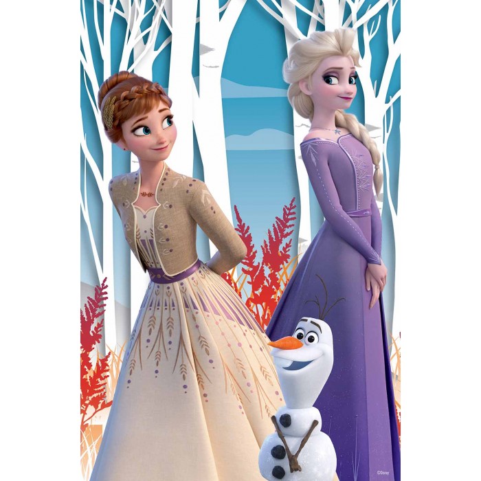 Casse-tête 3D Lenticulaire : Disney - Frozen 2 - 300 pcs - Prime 3D