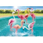 Playmobil : Family Fun - Groupe de flamants roses *