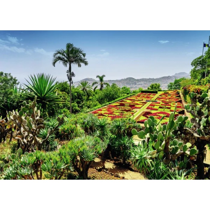 Casse-tête : Beautiful Garden - Botanical Garden, Madeira - 1000 pcs - Ravensburger *