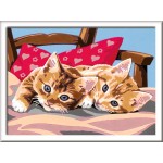 Peinture par numéros CreArt pour enfants : Two Cuddly Cats (24 x 18 cm)