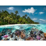 Casse-tête : Une plongée aux Maldives - 2000 pcs - Ravensburger
